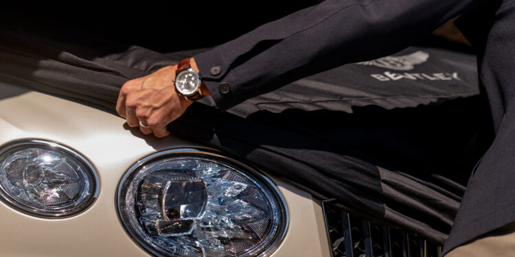 Bentley Launches Pet Accessories, Redefining Canine Comfort