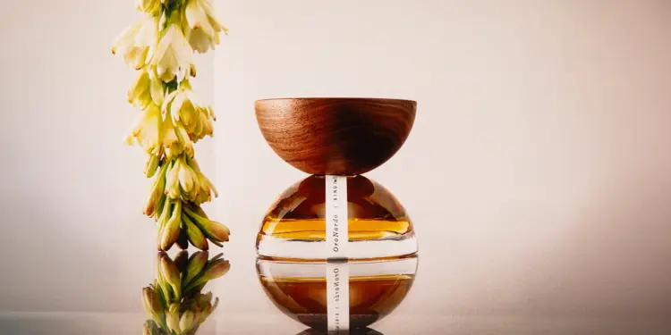 Estée Lauder Acquires Minority Stake in Mexican Luxury Perfumer Xinú